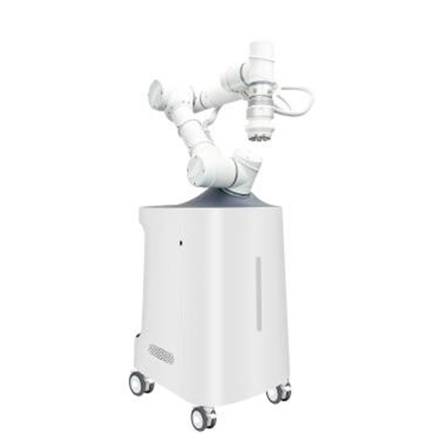 AI Multifunctional Massage Robot